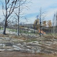 Vernissage de l'expo "Après les incendies"