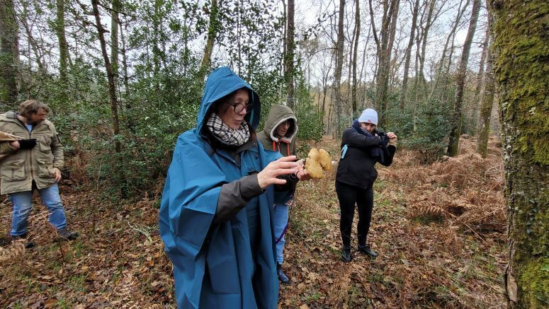 Initiation à la mycologie avec une mycologue diplômée