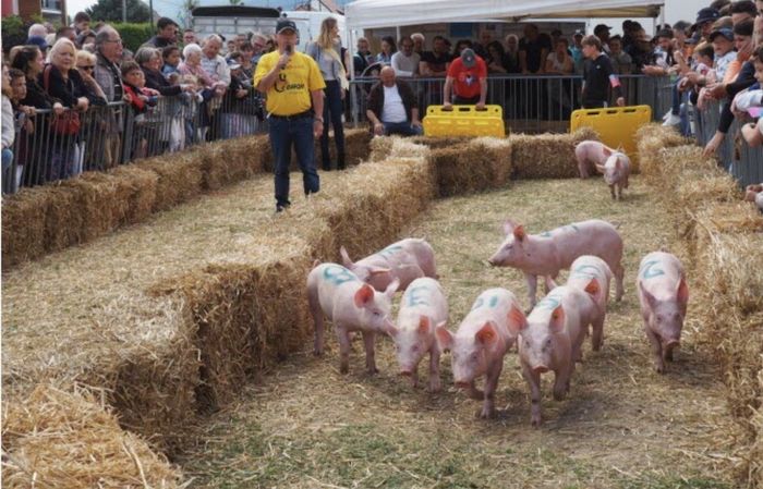 Fête du cochon