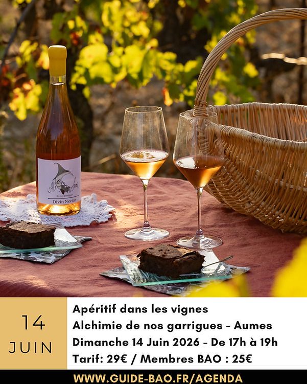 Apéritif dans les vignes
