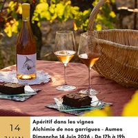Apéritif dans les vignes