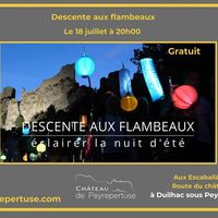 Descente aux flambeaux Led
Marche nocturne animée et commentée avec lampions Led