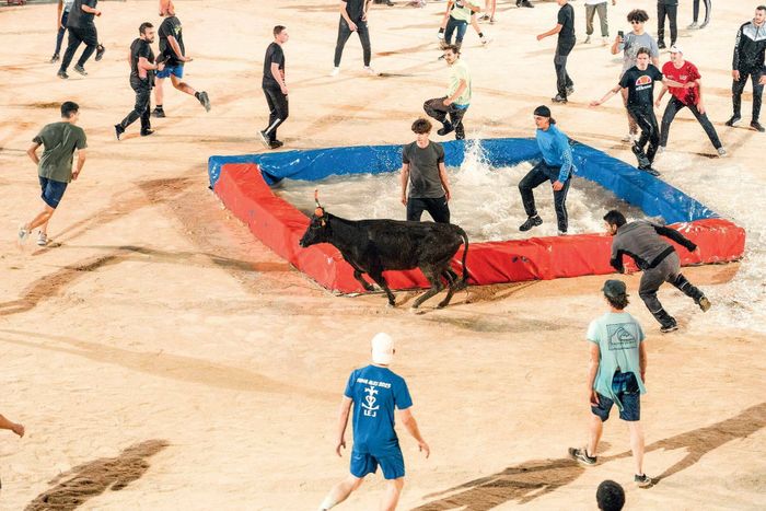 Toro piscine