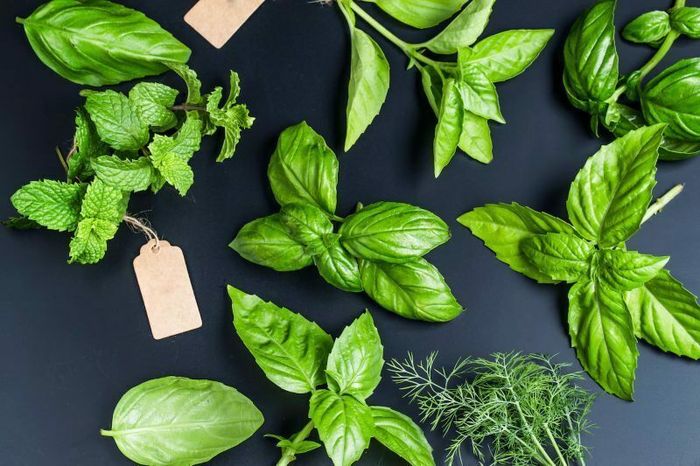 Les plantes aromatiques