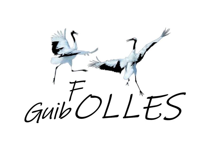 Affiche, Mini Folgui'Bal