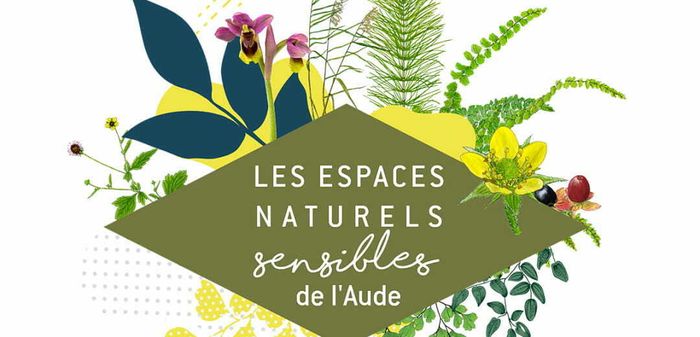 ENS - Les trésors de la plage