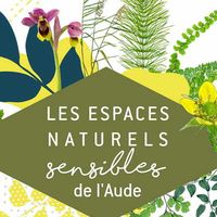 ENS - Les trésors de la plage