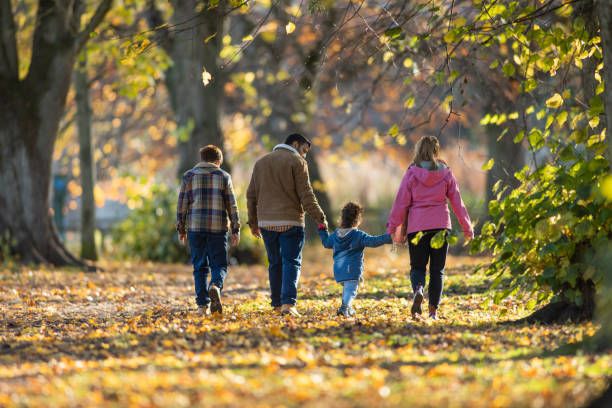 Dans le cadre du Village du Développement Durable de Sèvres, partez à la découverte d’un parc aux multiples facettes : sous-bois, zone boisée, prairie en pleine évolution… 🌳🌾