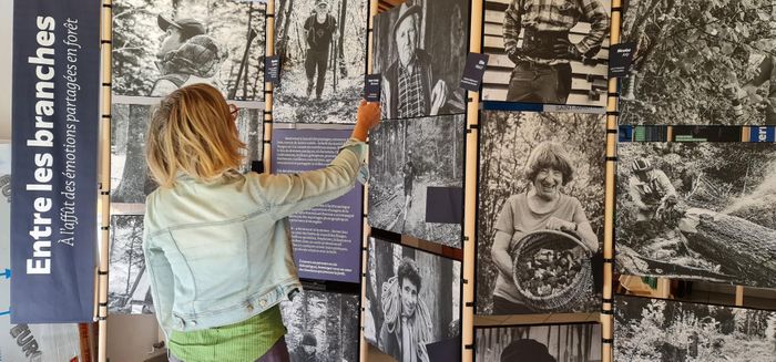 Exposition « Entre les branches, à l’affût des émotions partagées en forêt  »