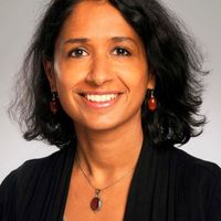 Dr Jyothi Rengarajan - Lung Immunometabolic Networks Regulating
Infection to M. tuberculosis and HIV