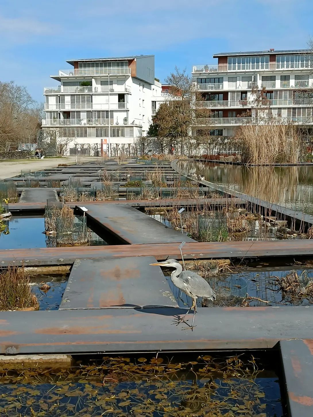 Mutations urbaines dans le quartier de la Bastide