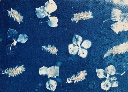 Atelier cyanotype