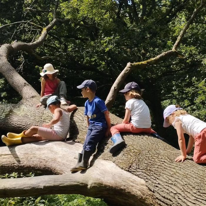 Sortie nature en famille : les petites bêtes de l’eau