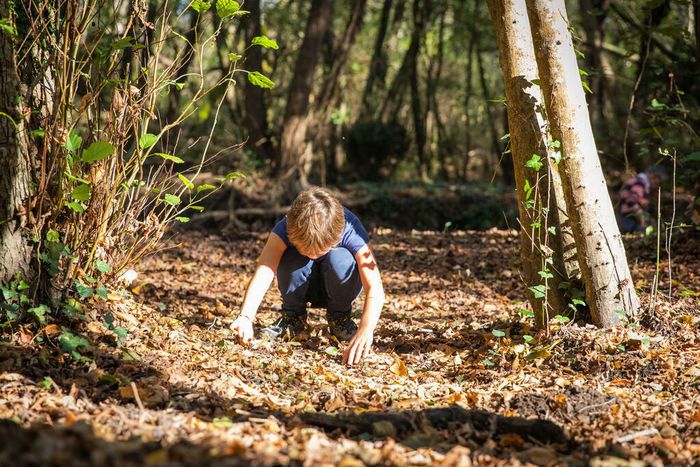 Traces et indices, de la toute petite faune à la plus grande…