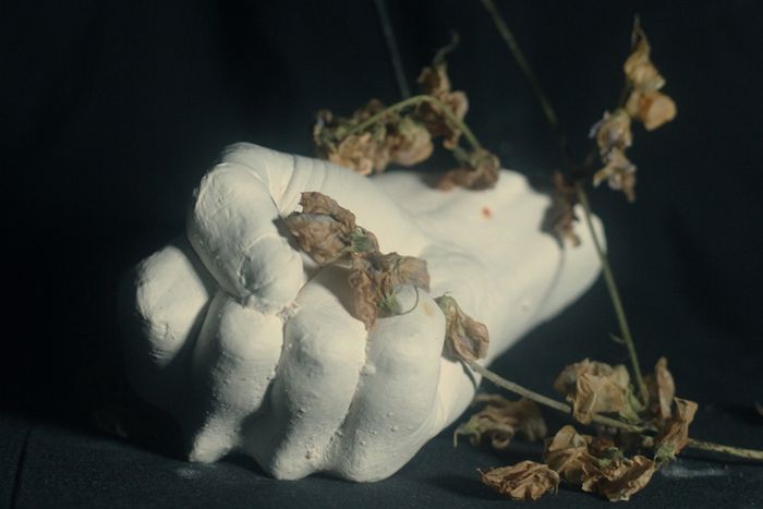 PAIN MAGAZINE - BIRDS IN ROW X LOUISAHHH X MAELSTROM X QUENTIN SAUVÉ