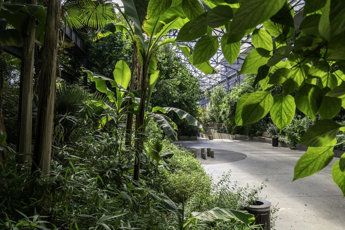 Découverte du Jardin des Fonderies