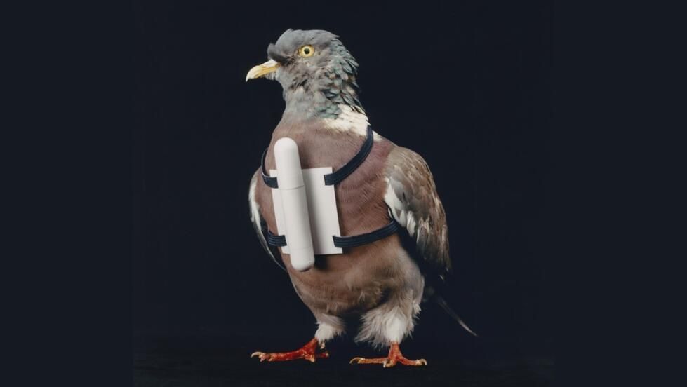 Exposition "We will survive - Le mouvement prepper"