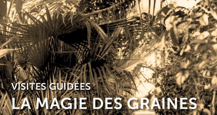 La Magie des graines