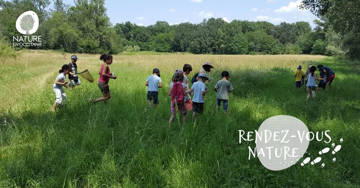 Les petits explorateurs de la forêt