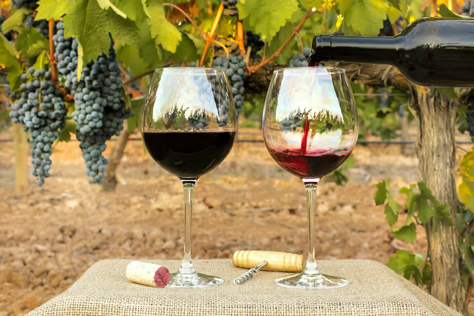 Fête du vin