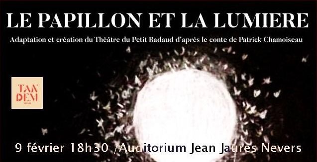 Le Papillon et la lumière