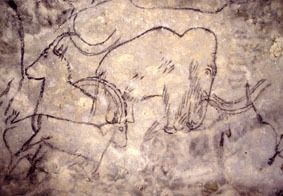 Visite guidée de la Grotte de Rouffignac