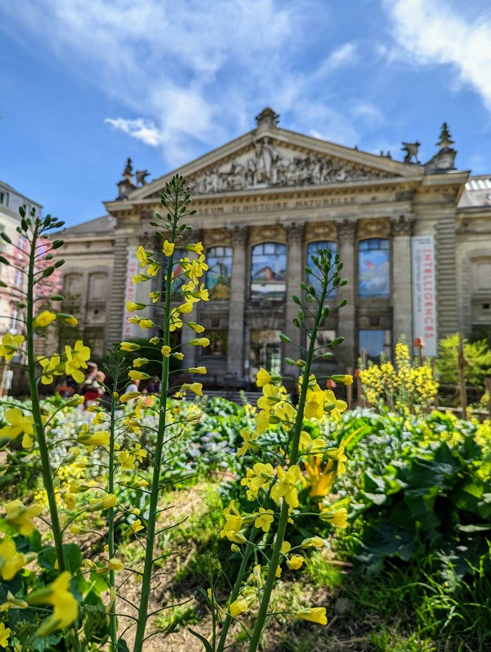 A la découverte de la vie du jardin