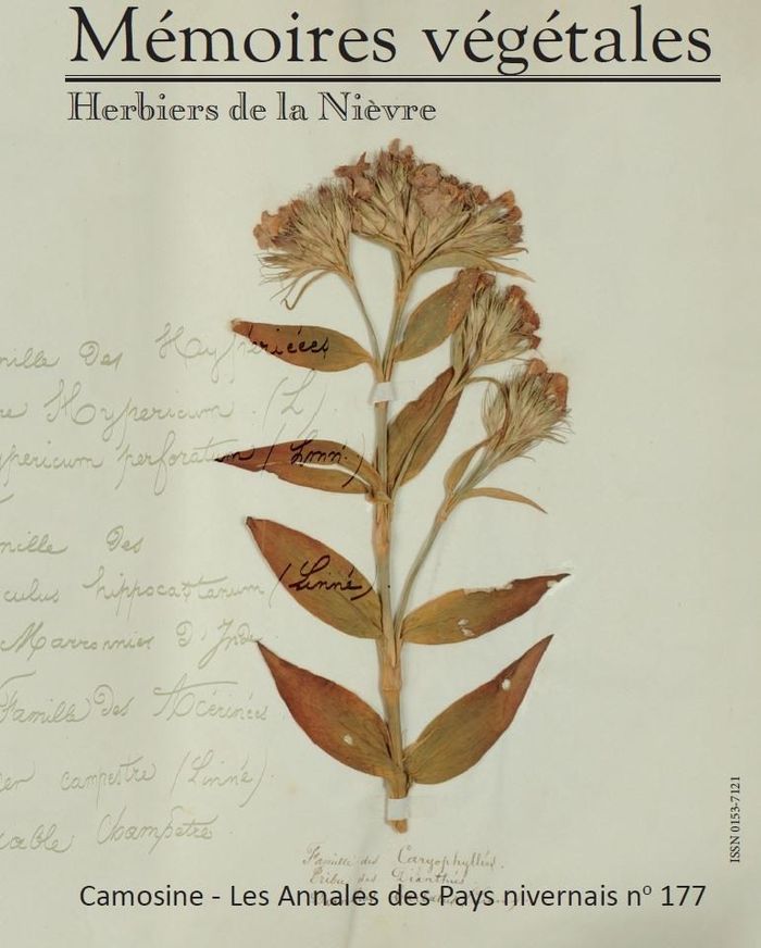 Les herbiers, témoins des activités naturalistes en Bourgogne