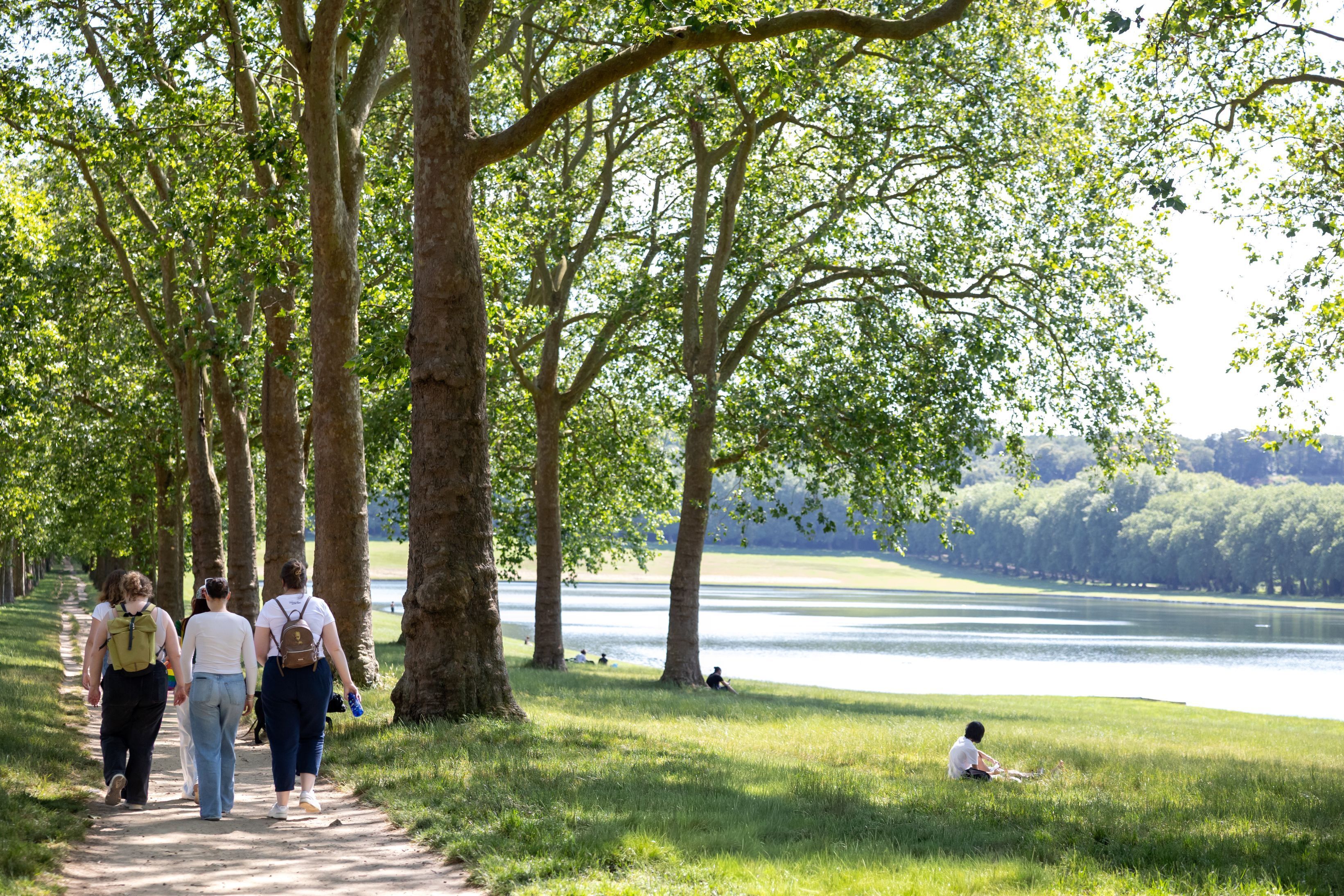 Versailles, cité-jardin (randonnée-conférence)