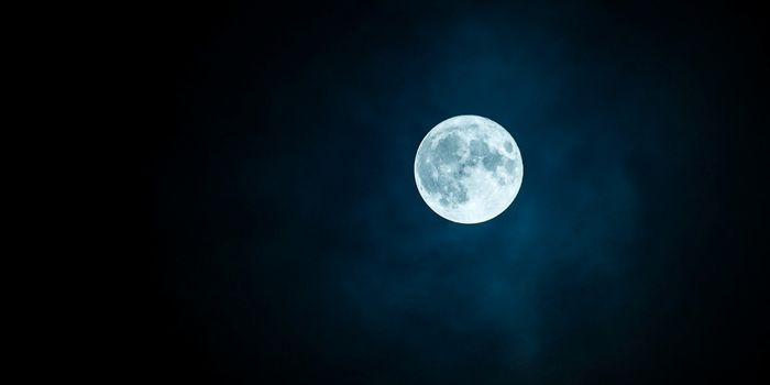 Balade découverte de la faune nocturne (LPO)