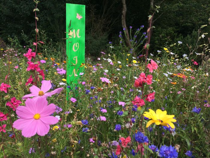 Mustergärten der Vielfalt im Park der Gärten