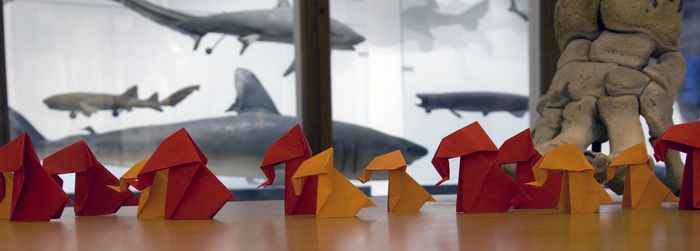 L'atelier du mercredi : Tangram et origami
