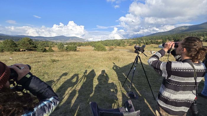 Découverte de la migration des oiseaux à Eyne!