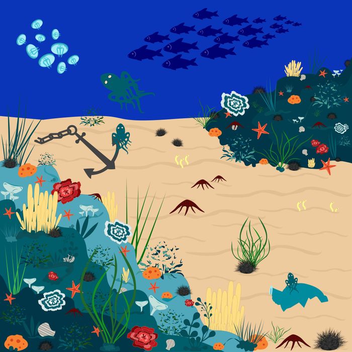 Dans la mer, il y a...
