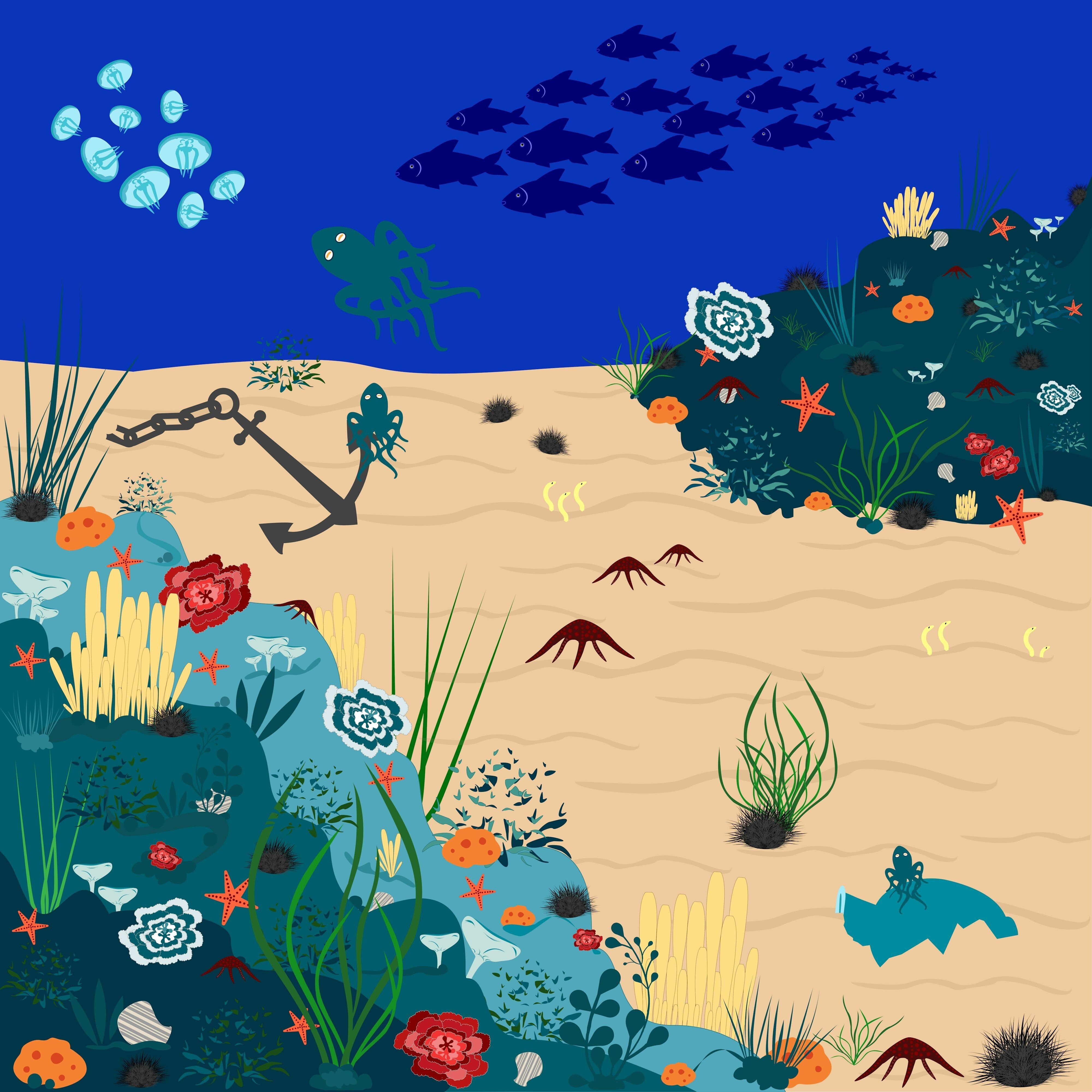Dans la mer, il y a...