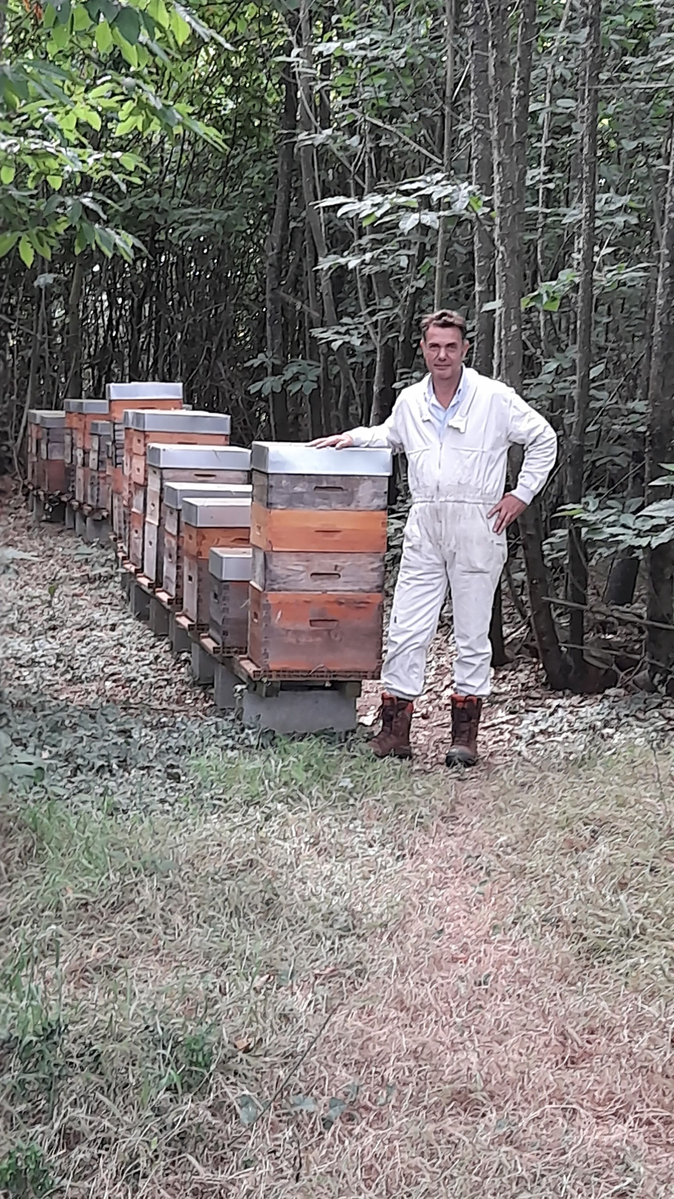 Des abeilles sur Sèvremoine