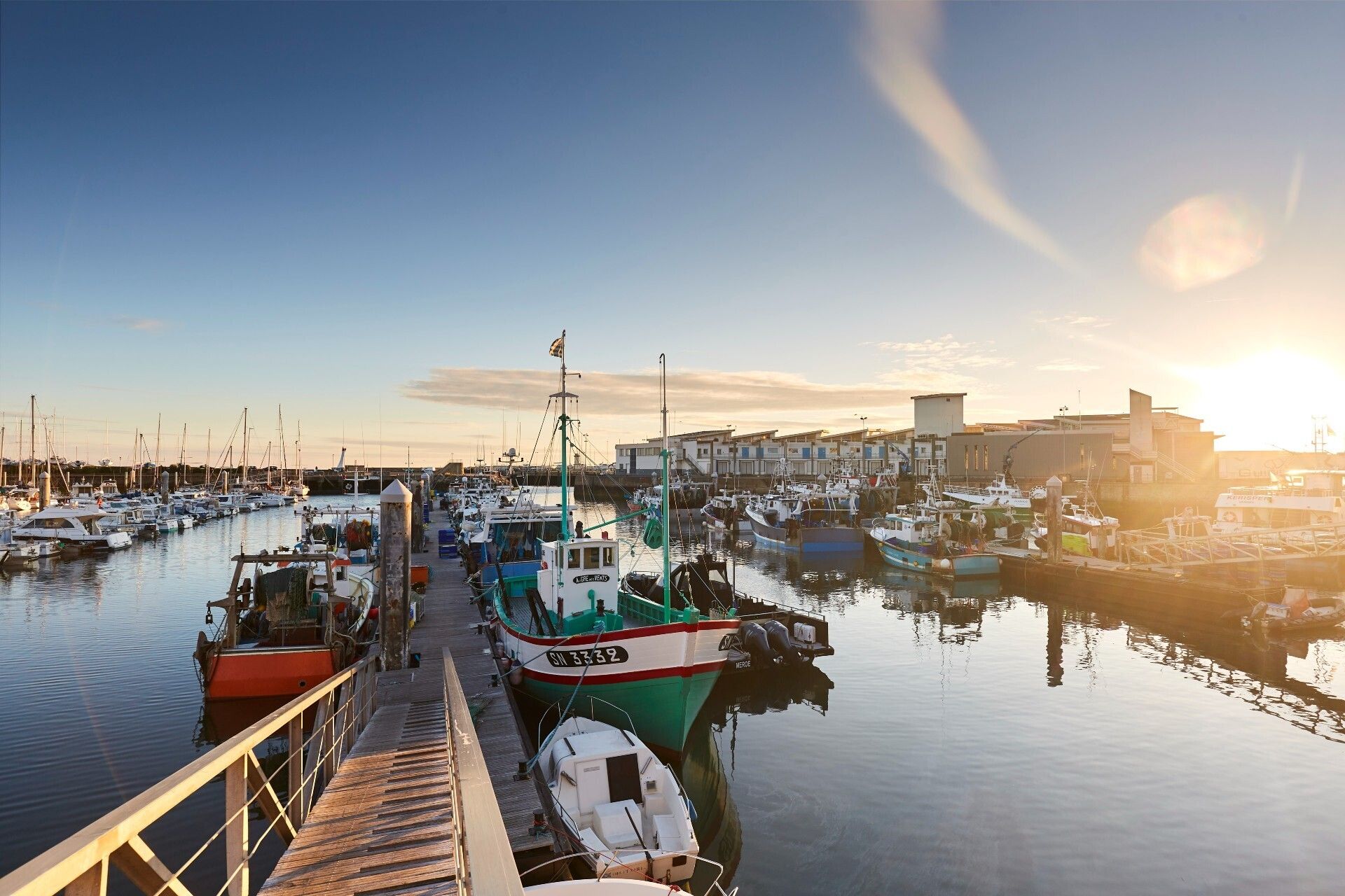 Visite guidée : le port de pêche de La Turballe