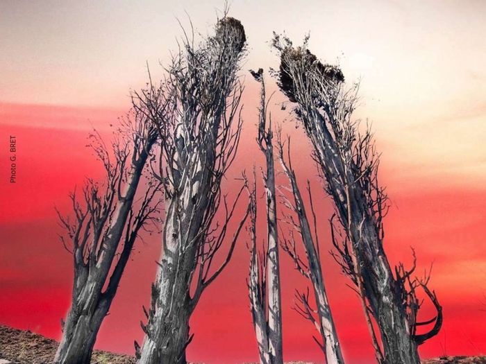 Incendies de l'Aude en 2025 "Tragédie et espoir"
