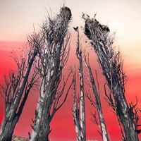 Incendies de l'Aude en 2025 "Tragédie et espoir"