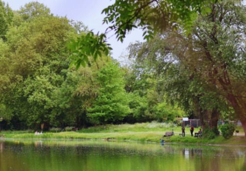 Balade urbaine à Bègles (Dorat) : "Du rail au Delta Vert : paysages en mouvement"
