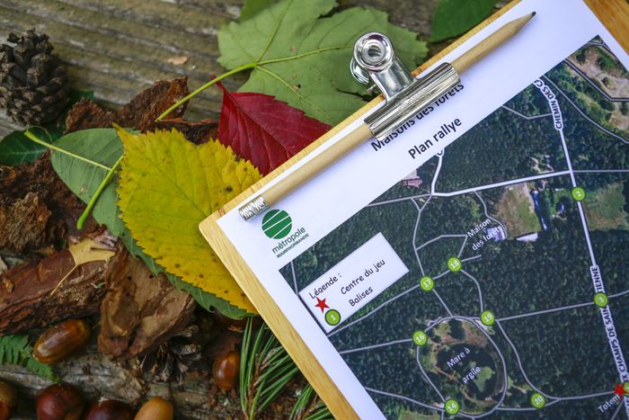 Rallye les métiers de la forêt