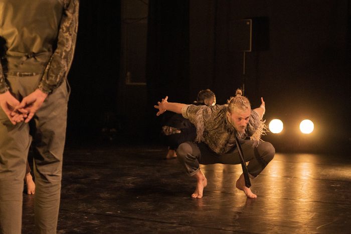 Groove'n'Move | Dinosaure | Compagnie D-dal