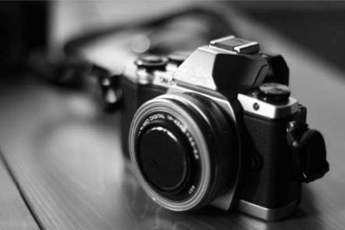 Exposition photos