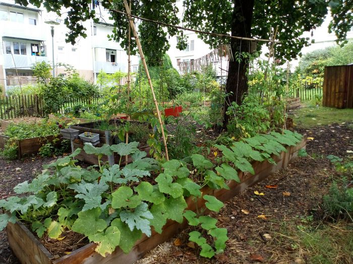 Atelier jardinage de saison au jardin de la rue Dullin