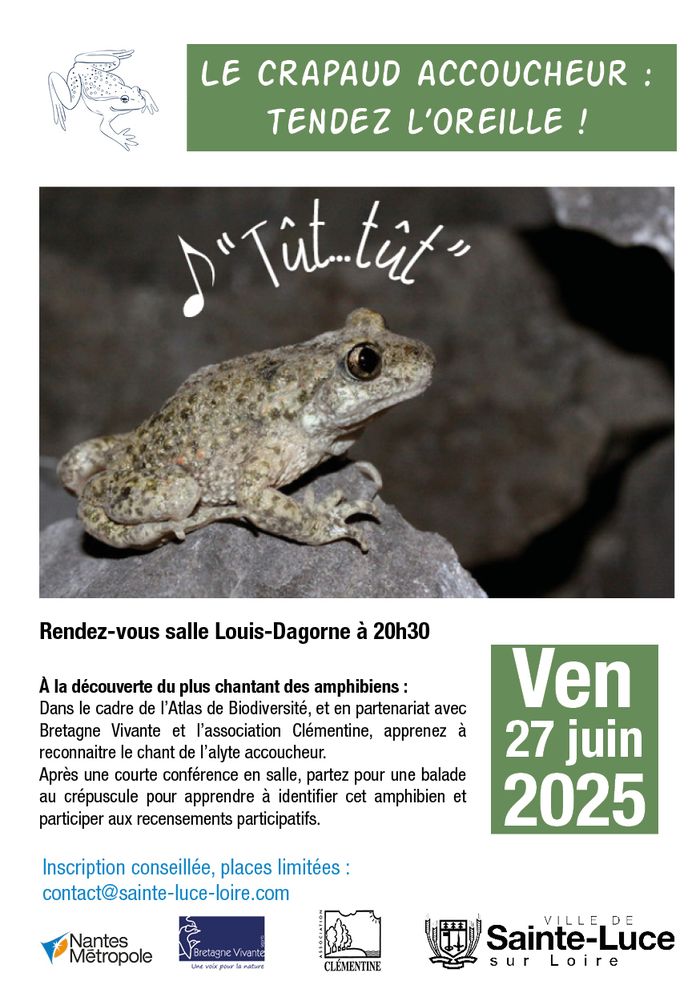 Balade à la découverte du crapaud accoucheur