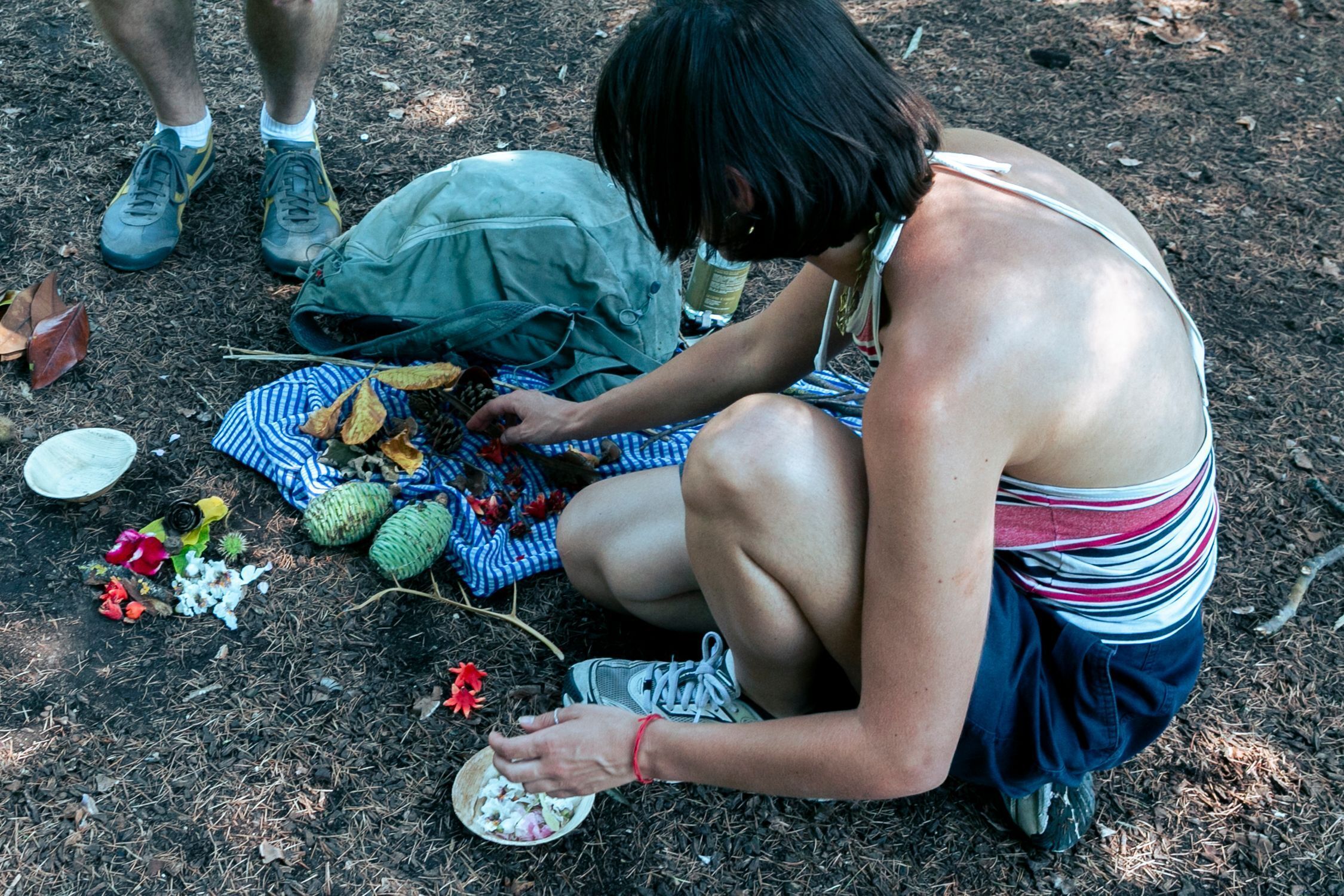 Composer avec la nature - Une immersion artistique autour du land art au Parc de Saint-Cloud