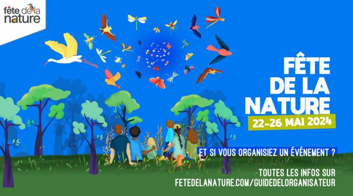 Papillons, abeilles et compagnie