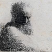 Exposition "L'héritage de Darwin dans le cadre de la Fête de la science"