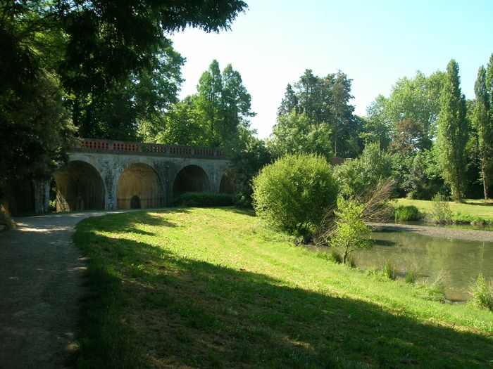 Balade : La faune et la flore au fil de l’eau
