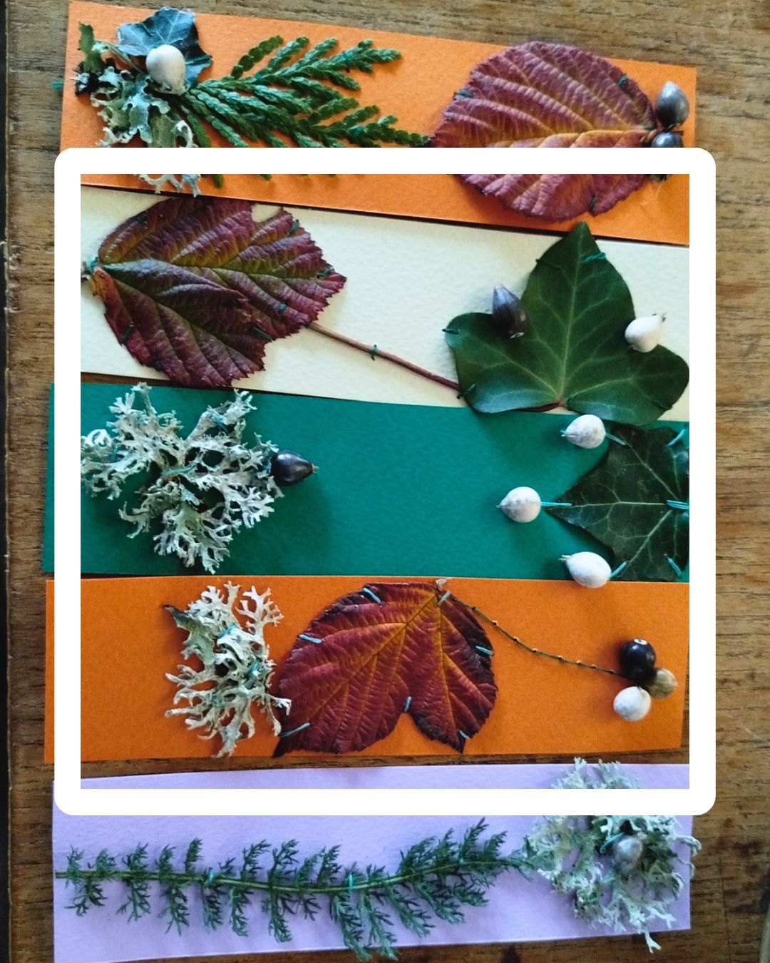 Création de cartes de voeux naturelles